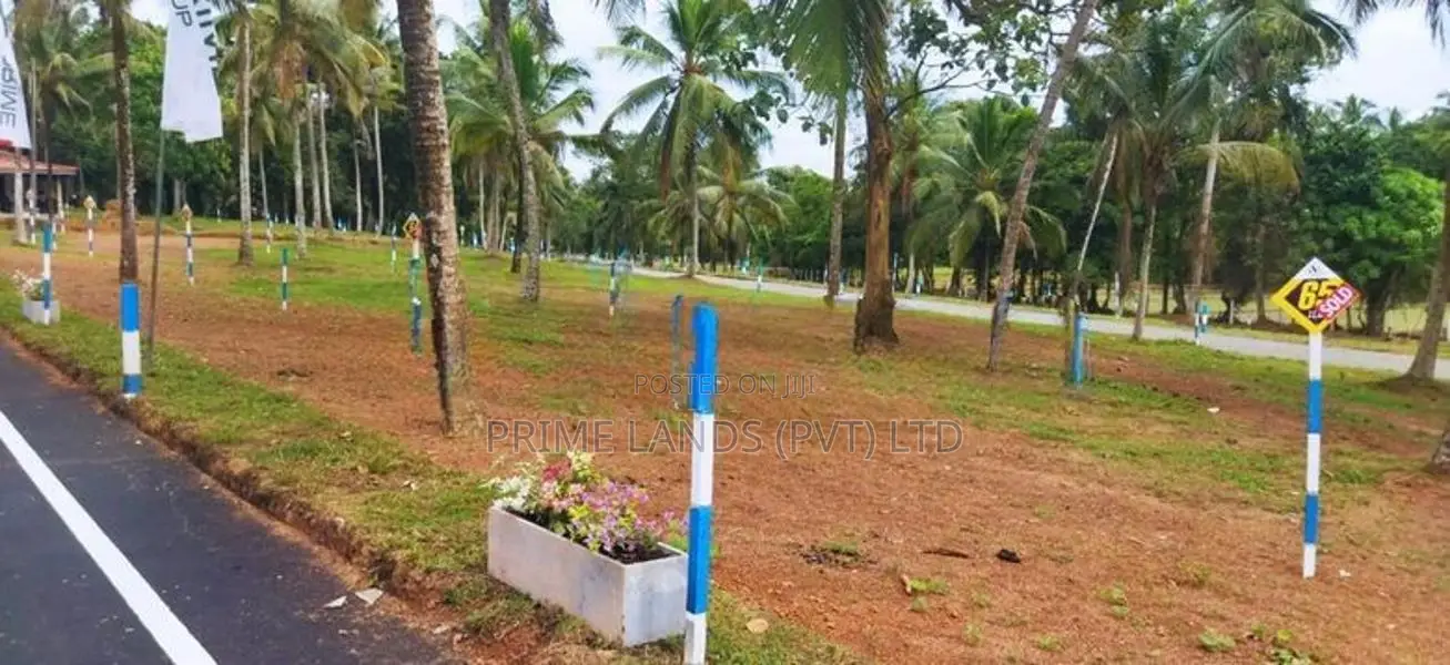 Land For Sale Naiwala