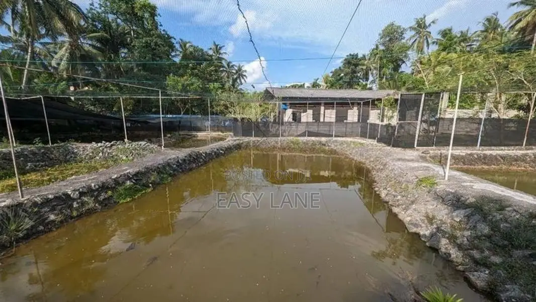 koi fish farm for sale in kadawatha