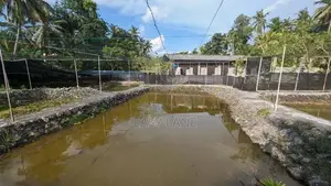 koi fish farm for sale in kadawatha