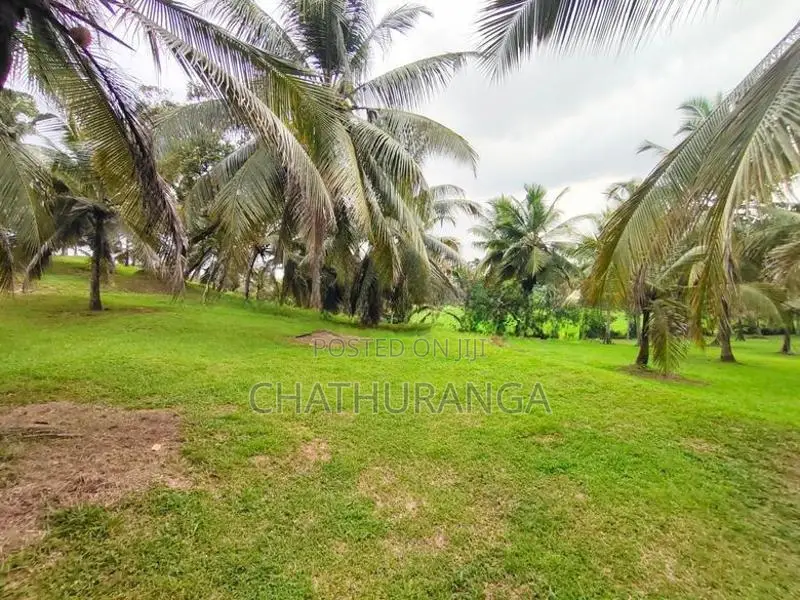 Residential Land for Sale Kadawatha