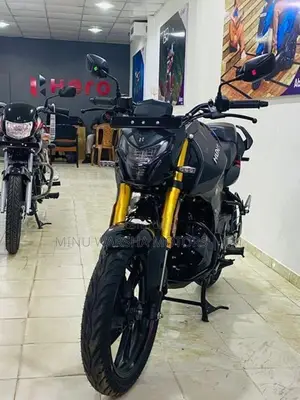Hero Hunk 160R 4V 2025