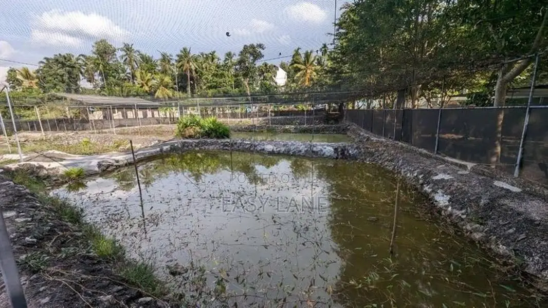 koi fish farm for sale in kadawatha