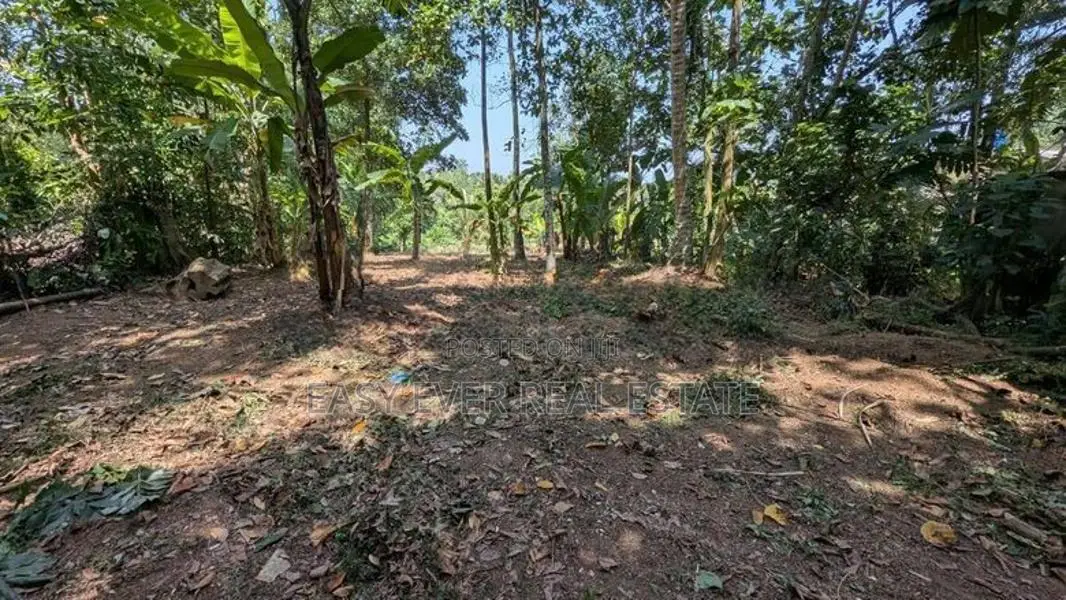 Land for Sale in Kirindiwela