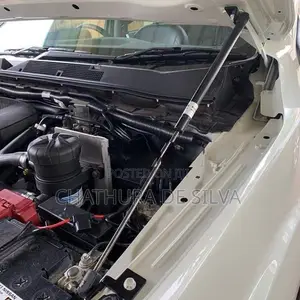 Triton 2024+ Bonnet Struts