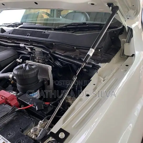 Triton 2024+ Bonnet Struts