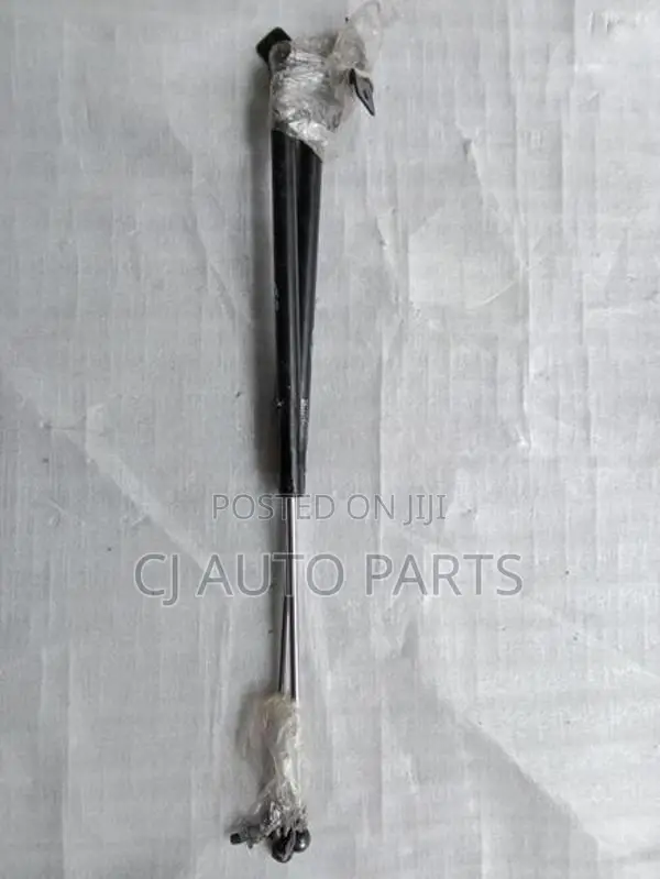 Suzuki Alto HA24 Dicky Shock