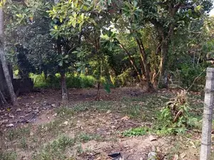 මහභාගේ පර්චස් විසි එකක් විකිණීමට