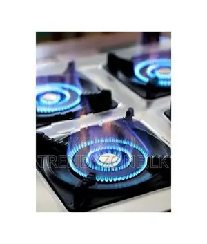 Industrial Gas Cooker 8 Burners (Table Top)