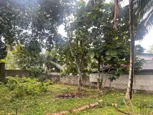 Land for Sale Kaduwela