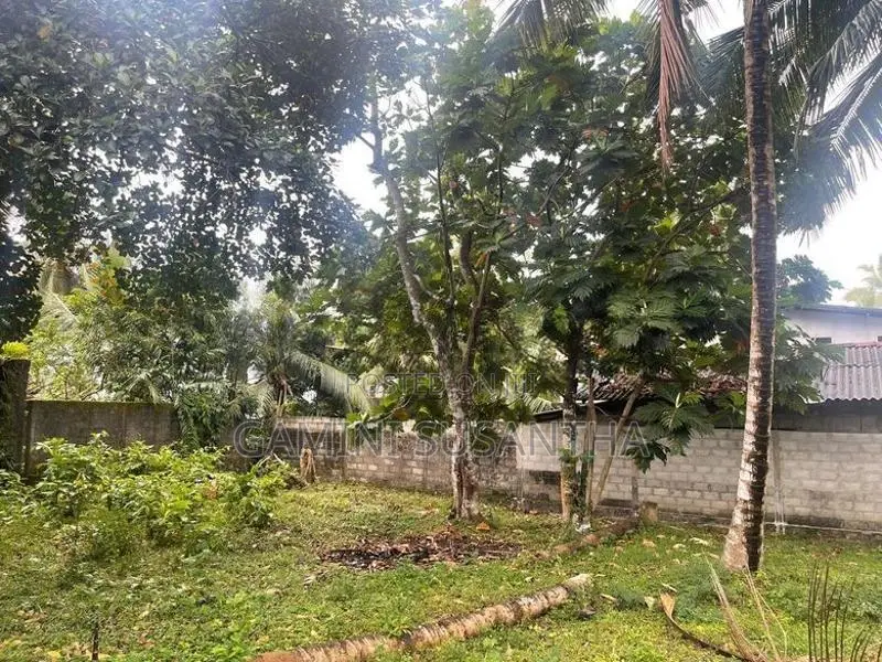 Land for Sale Kaduwela