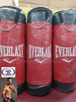 Punching Bag New