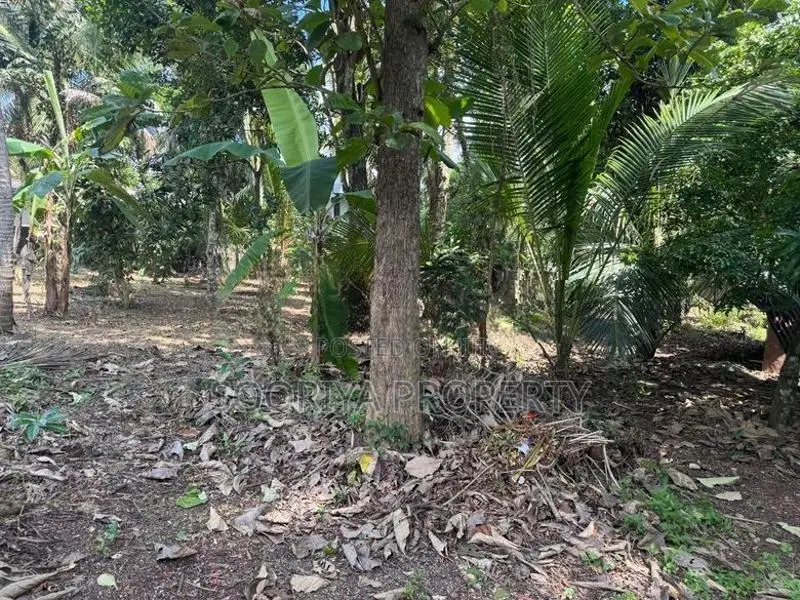 ඉහළ වැදගත් පරිසරයකින් ඉඩමක් විකිණීමට ඇත - Piliyandala