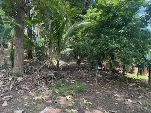 ඉහළ වැදගත් පරිසරයකින් ඉඩමක් විකිණීමට ඇත - Piliyandala