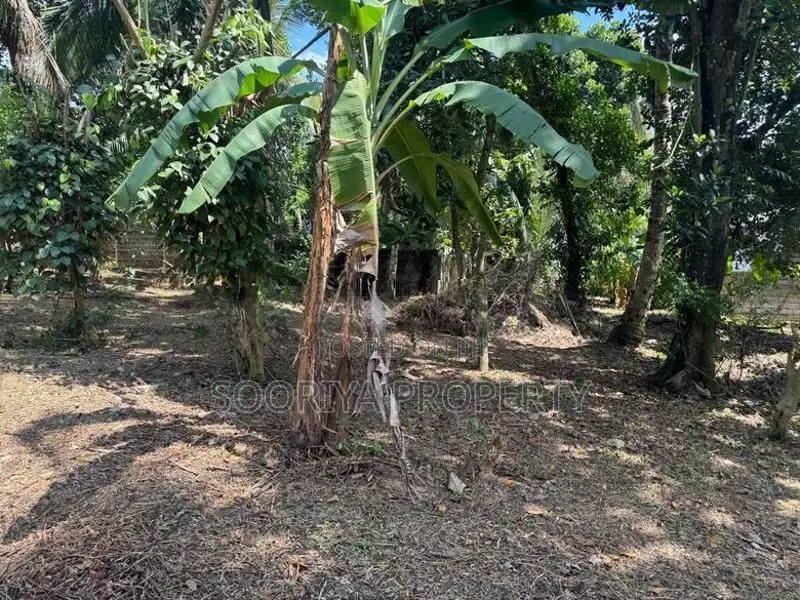 ඉහළ වැදගත් පරිසරයකින් ඉඩමක් විකිණීමට ඇත - Piliyandala