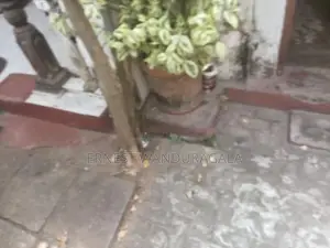 land sale in kirulapone