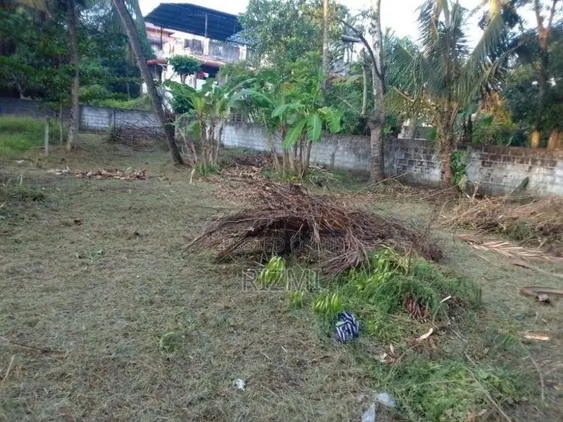 13 Perches Land for Sale in Dehiwala Nedimala Off Vijita Road