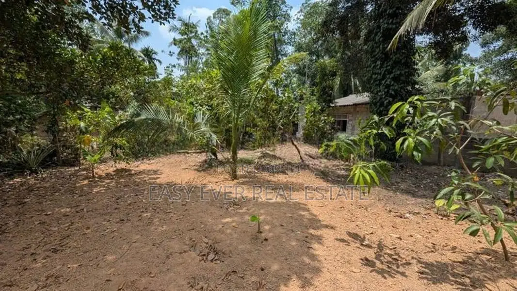 Land for Sale in Kalagedihena