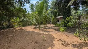 Land for Sale in Kalagedihena
