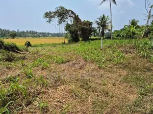 53.5 P Paddy Fields Facing Bare Land Malabe