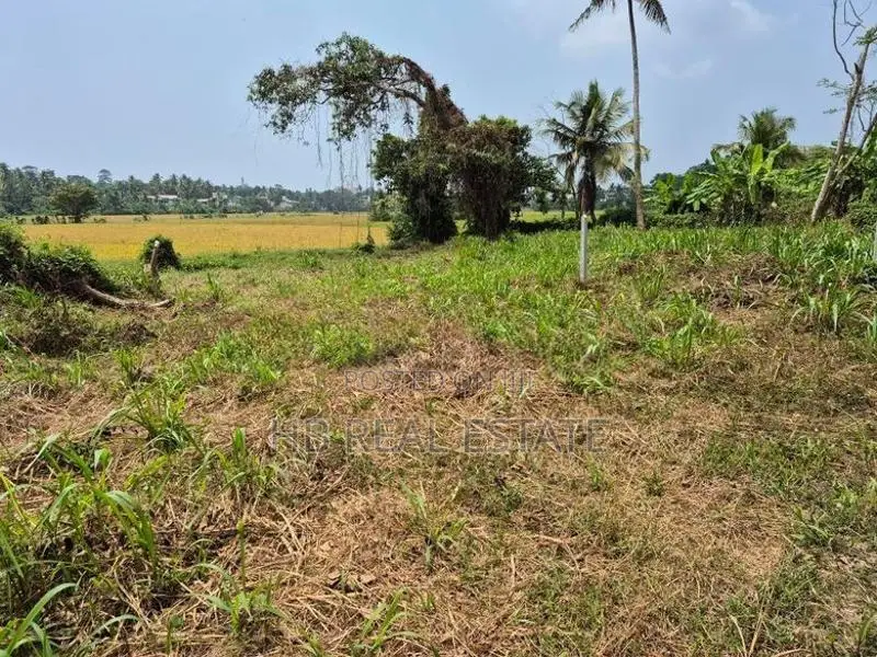 53.5 P Paddy Fields Facing Bare Land Malabe