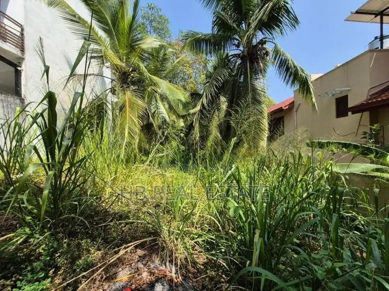 6.3 P Residential Bare Land for Sale Depanama
