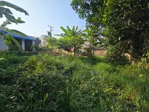 10.50 P Highly Residential Bare Land For Sale Artigala