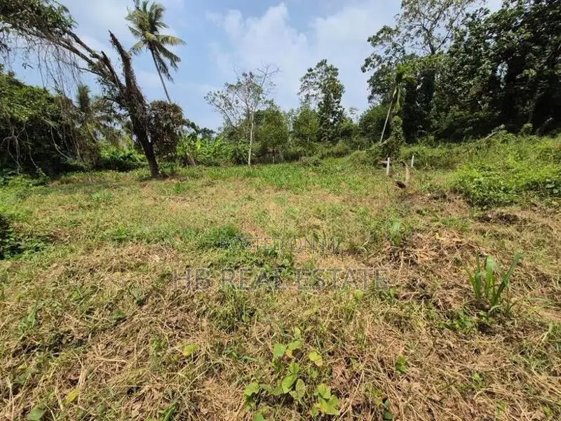53.5 P Paddy Fields Facing Bare Land Malabe