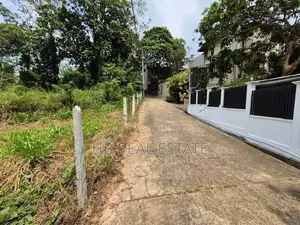 53.5 P Paddy Fields Facing Bare Land Malabe