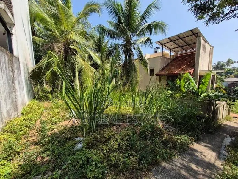 6.3 P Residential Bare Land for Sale Depanama