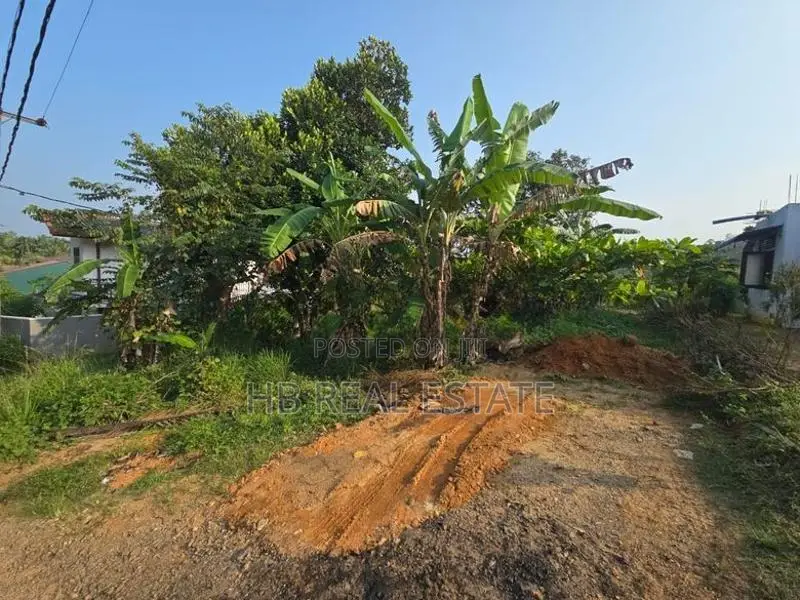 10.50 P Highly Residential Bare Land For Sale Artigala