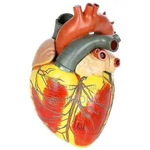 Giant Heart Model A410