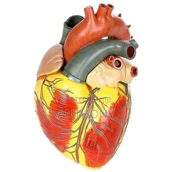 Giant Heart Model A410