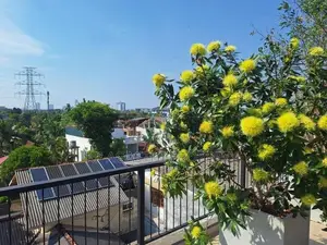 newly house for sale Battaramulla