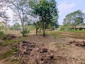 Land for Sale in Nittambuwa