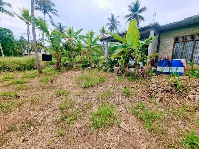 නුවර පාරට ළඟින් ඉඩමක් - නිට්ටඹුව