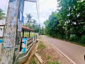 නුවර පාරට ළඟින් ඉඩමක් - නිට්ටඹුව