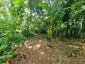 Land for Sale in Minuwangoda