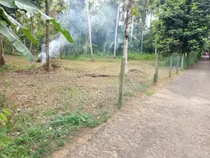 Kaluthara : 25 perches Land for Sale at Thibiriya