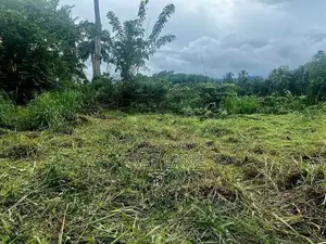 කිරිදි ඔයටත්,වෙල් යායටත් මායිම් ඉඩමක්