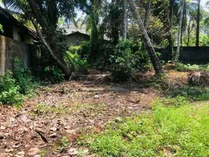 Ja Ela : 10 perches Land for Sale at Wewala