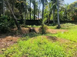 Ja Ela : 10 perches Land for Sale at Wewala