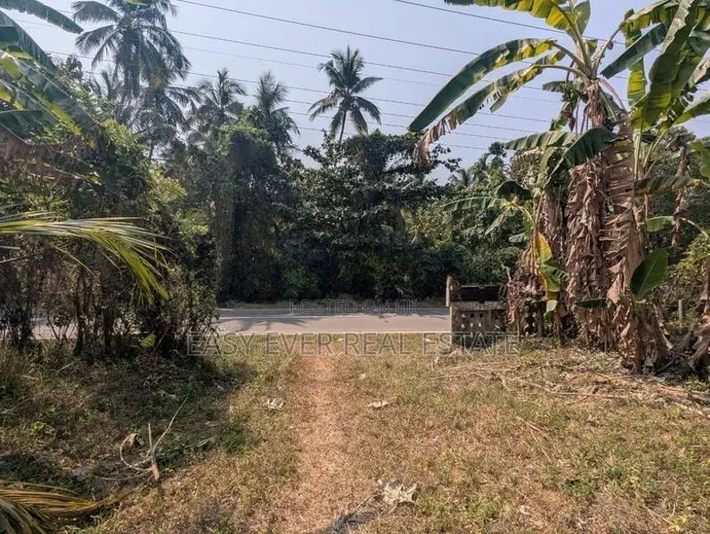 Land for Sale in Veyangoda