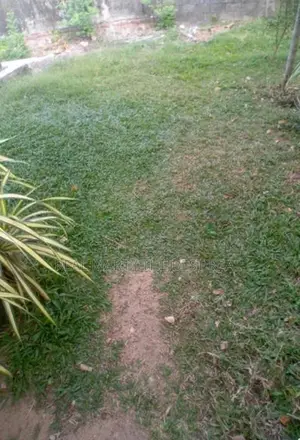 Kandana : 6 perches Land for Sale at Rillaula