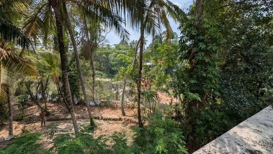 වැවට මායිම් වටිනා ඉඩම සමඟ අඩක් නිමකළ නිවසක්