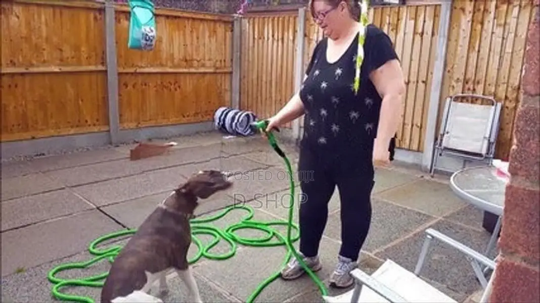 Magic Flexible -*** Water Hose Pipe & Spray Gun - 100' ft