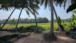වෙල්යායට මුහුණලා වටිනා නිවසක්