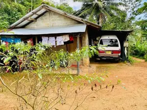 නිවාස 2 ක් වටිනා ගස් රාශියක් සම්ඟ පර්චස් 53
