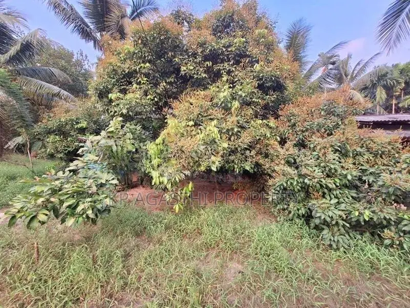 වටිනා ඉඩමක් විකිනිමට හෝමගම වටරෙක