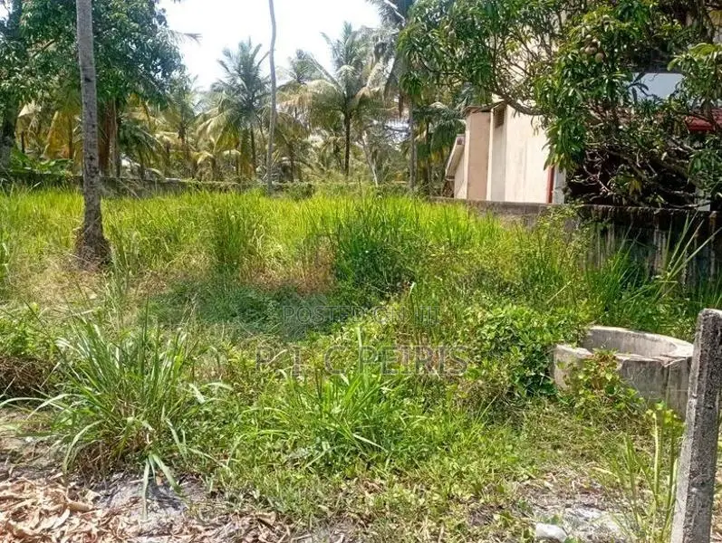 21 Perch Land For Sale Akkarapanaha Negombo Gampaha