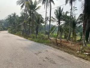 170 P Residential Land Facing Main Rd Paddy field